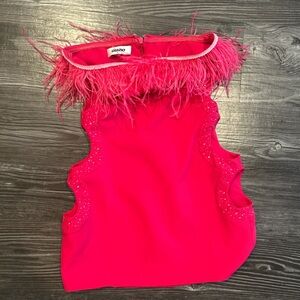 Chic Pink Feathered Top